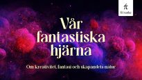 Pi-symposium: Vår fantastiska hjärna
